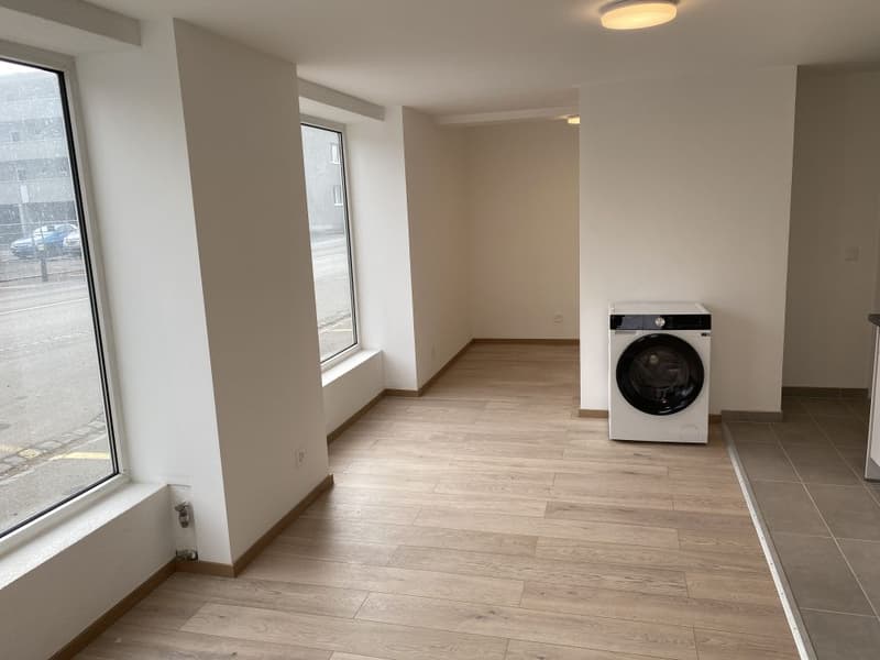 First rental of new building - 1.5 room apartment for rent! (5)