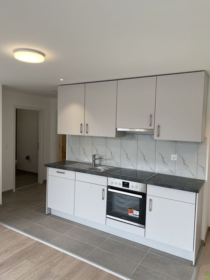 First rental of new building - 1.5 room apartment for rent! (2)