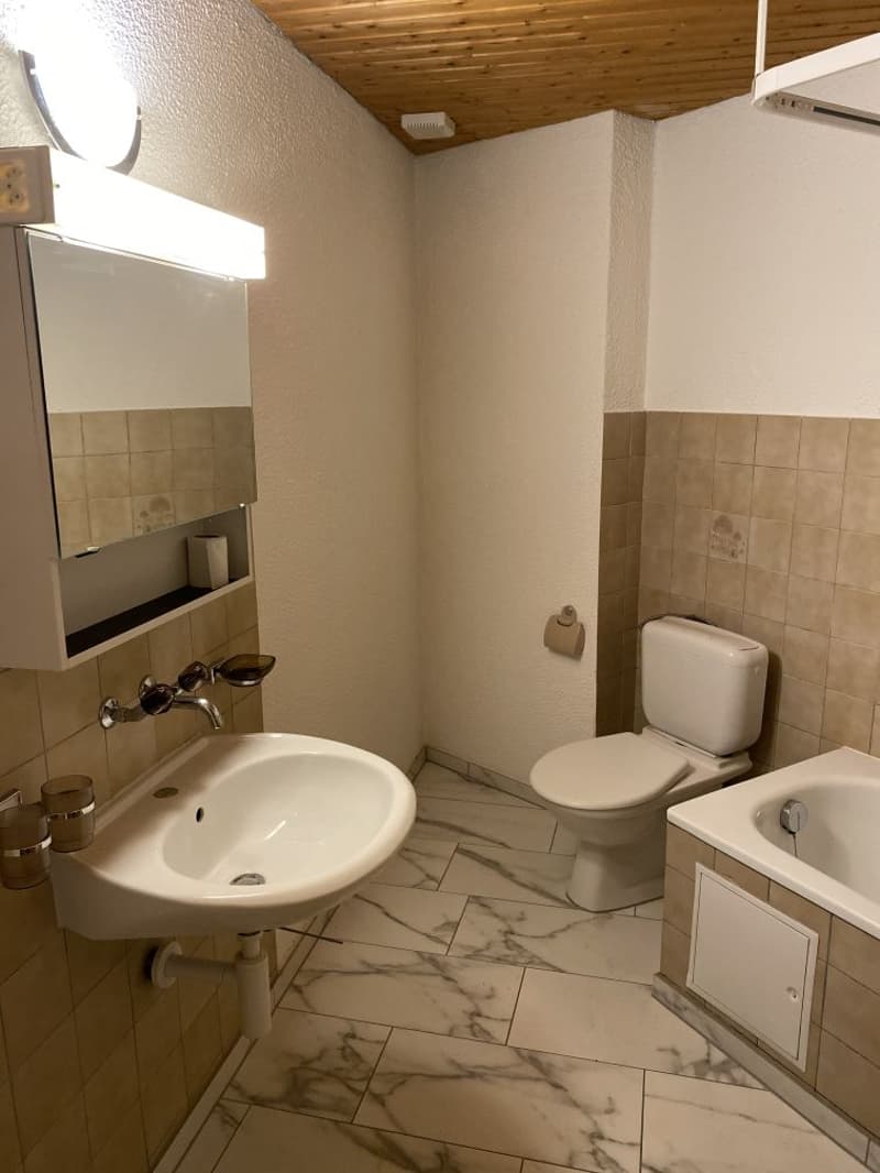 Beautiful 4.5-room apartment! Rent offered! (9)