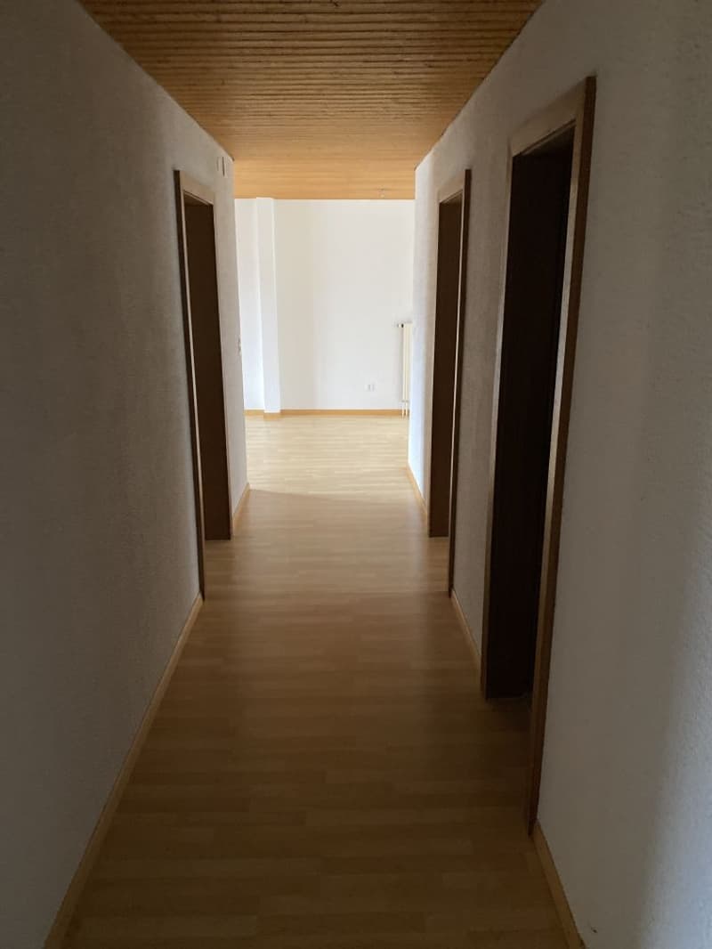 Beautiful 4.5-room apartment! Rent offered! (7)
