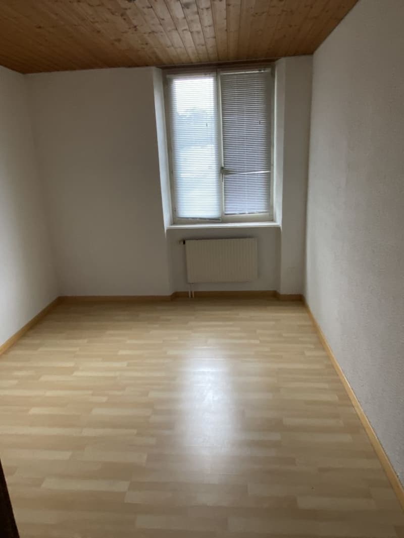Beautiful 4.5-room apartment! Rent offered! (5)