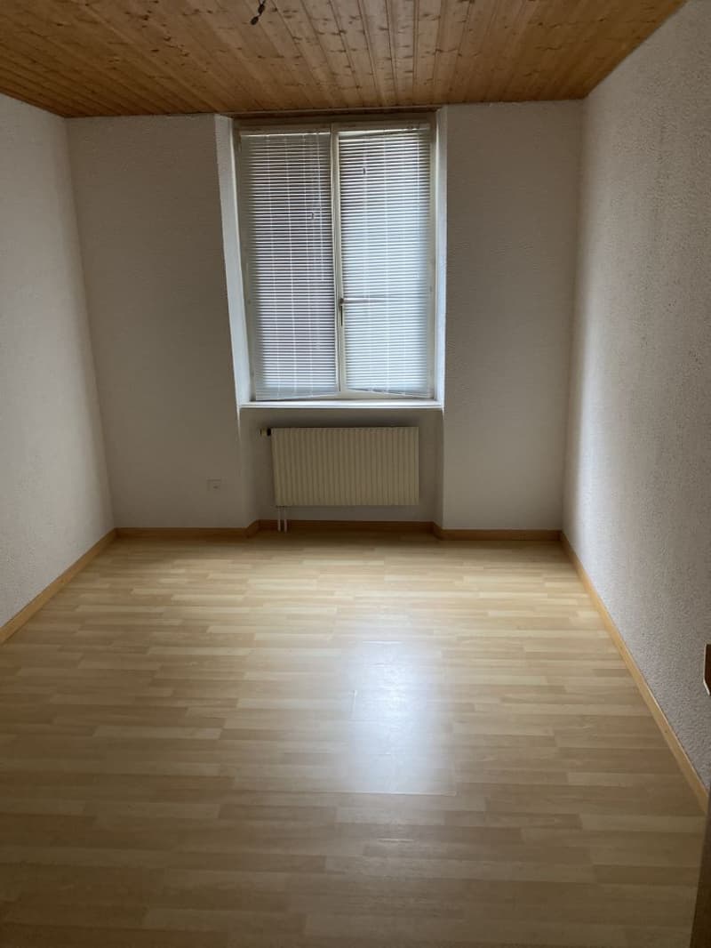 Beautiful 4.5-room apartment! Rent offered! (4)