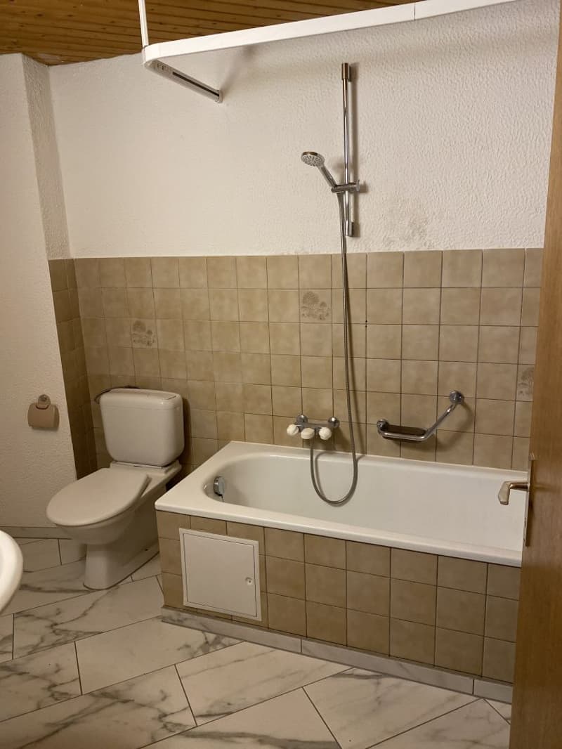 Beautiful 4.5-room apartment! Rent offered! (8)