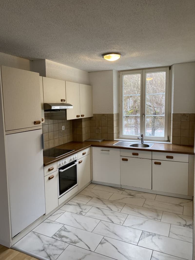 Beautiful 4.5-room apartment! Rent offered! (1)