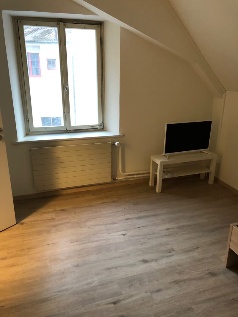 white walls, wood flooring, glass window, white stand, flat screen TV, white radiator