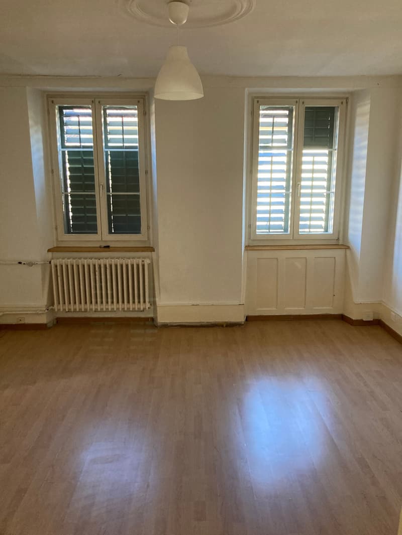 This image shows an empty room with white walls, hardwood floors, and two large windows with shutters. The room has a ceiling light fixture and a radiator heating system. The room appears to be a living room or bedroom, with a simple and minimalist design