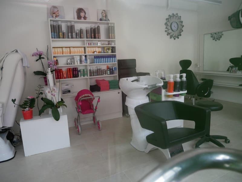 The image shows a hair salon with various hair care products and equipment. There is a shelving unit with numerous hair products, a sink and chair for hair washing, and a styling chair. The room also has decorative elements like a mirror and plants.