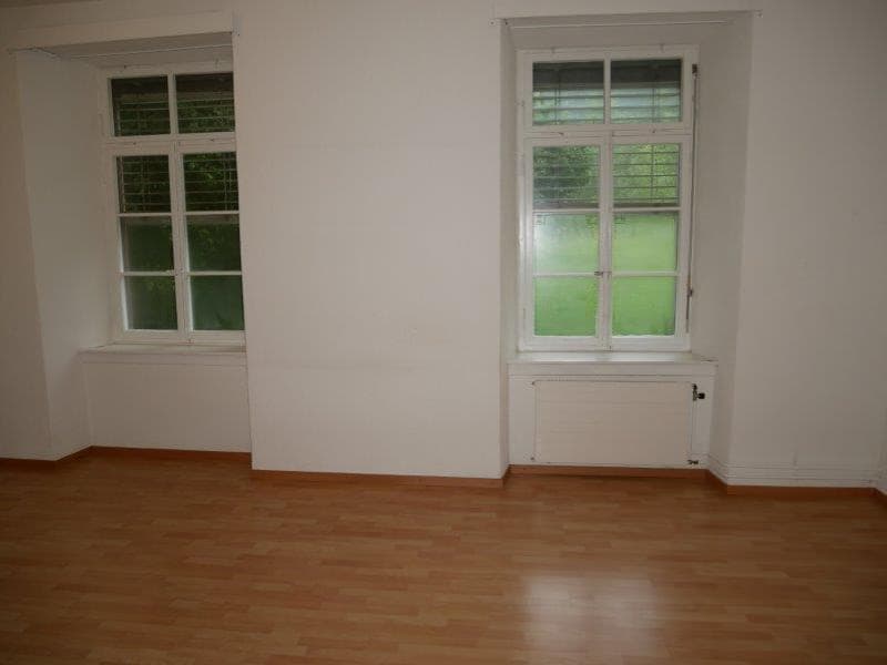 Charmante 2-Zimmer-Wohnung mit Bergblick in Riedern (4)