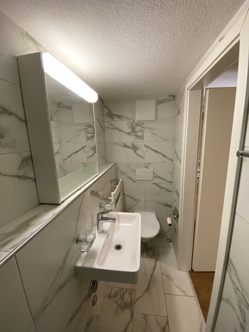 Renovierte 1,5-Zimmer-Wohnung zu vermieten (9)