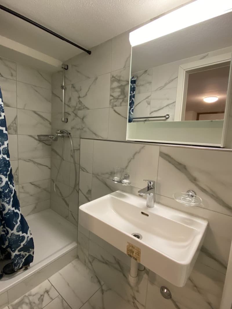 Renovierte 1,5-Zimmer-Wohnung zu vermieten (10)