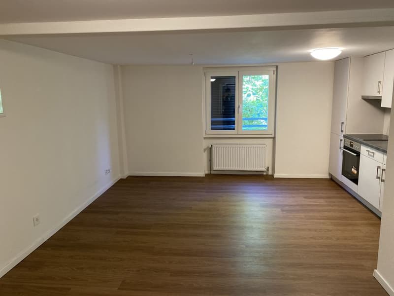 Renovierte 1,5-Zimmer-Wohnung zu vermieten (3)
