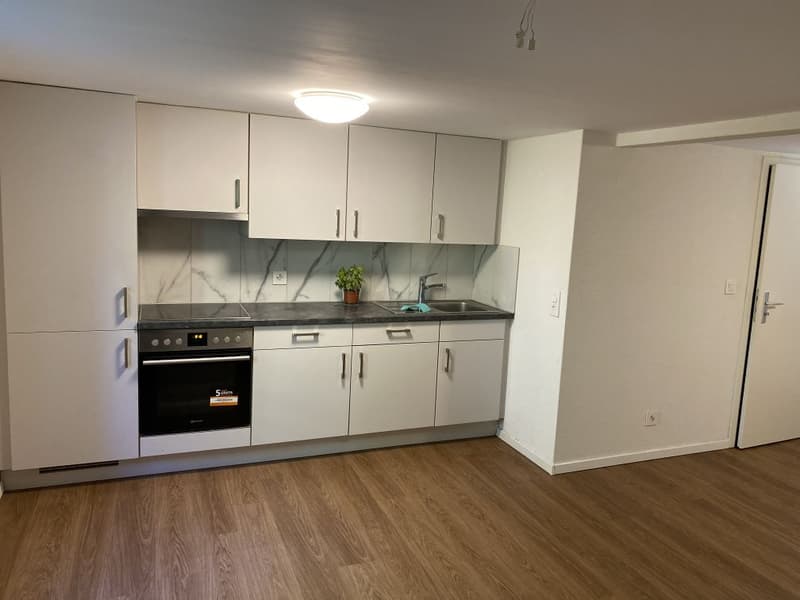 Renovierte 1,5-Zimmer-Wohnung zu vermieten (4)