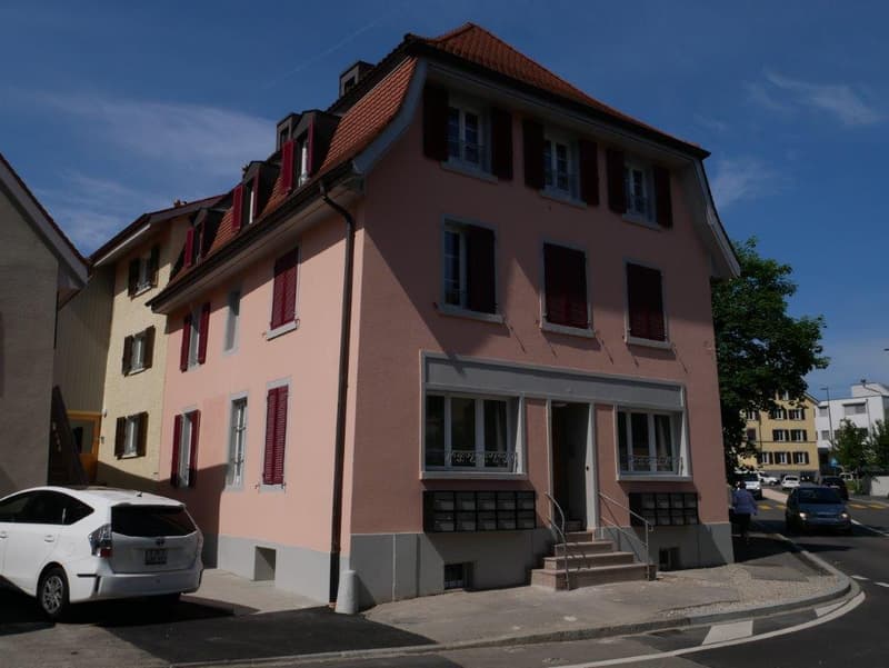 Renovierte 1,5-Zimmer-Wohnung zu vermieten (1)
