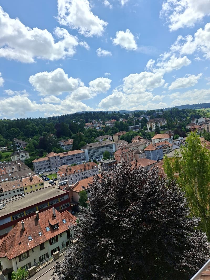 Charmantes 2-Zimmer-Wohnung mit Stadtblick in Le Locle (7)