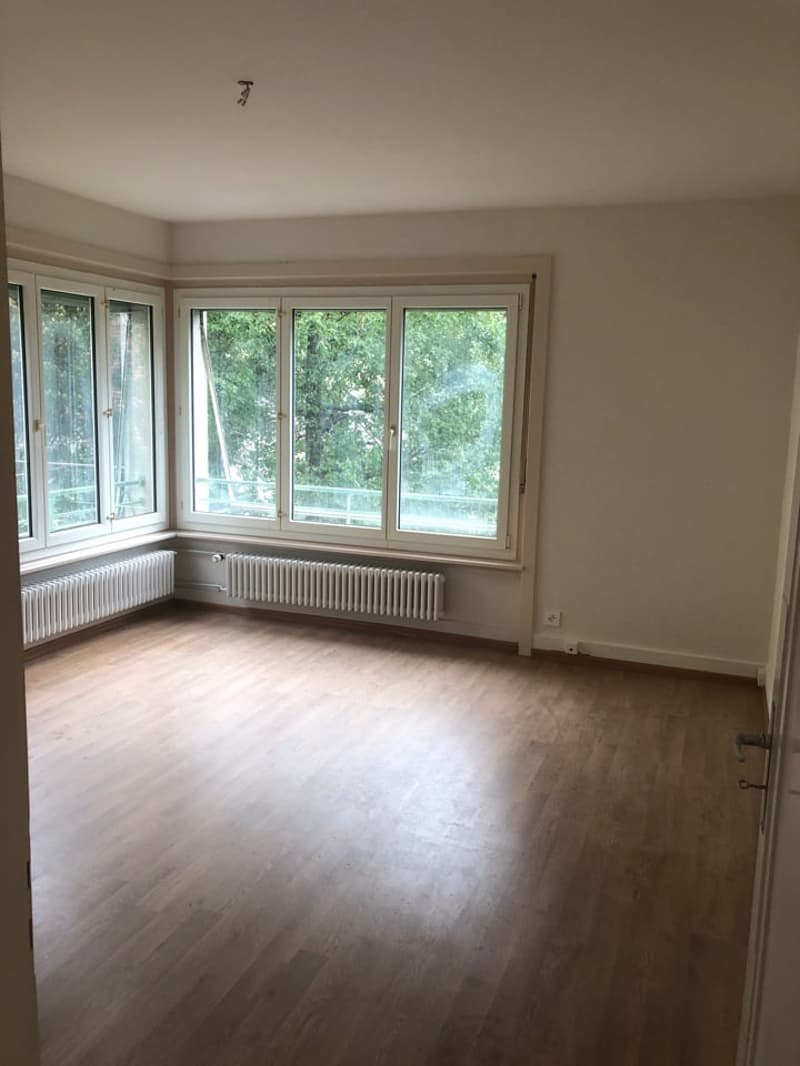 Charmantes 3-Zimmer-Wohnung mit Blick auf die Natur in Le Locle (2)