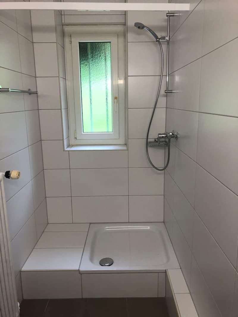 Charmantes 3-Zimmer-Wohnung mit Blick auf die Natur in Le Locle (6)