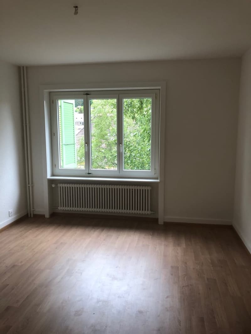 Charmantes 3-Zimmer-Wohnung mit Blick auf die Natur in Le Locle (3)