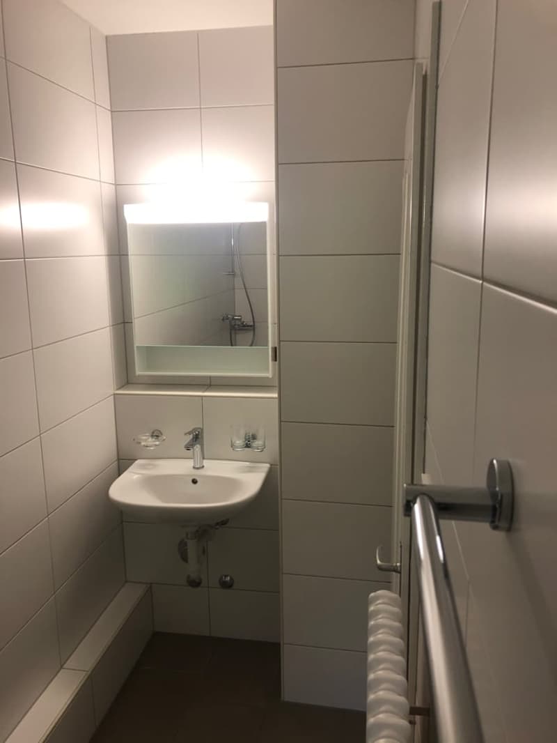 Charmantes 3-Zimmer-Wohnung mit Blick auf die Natur in Le Locle (4)