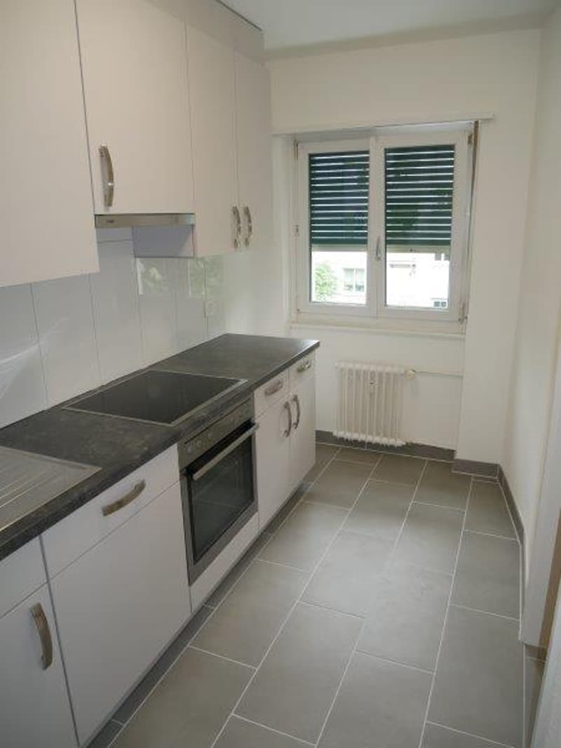 Appartement rénové de 2 pièces avec balcon (4)