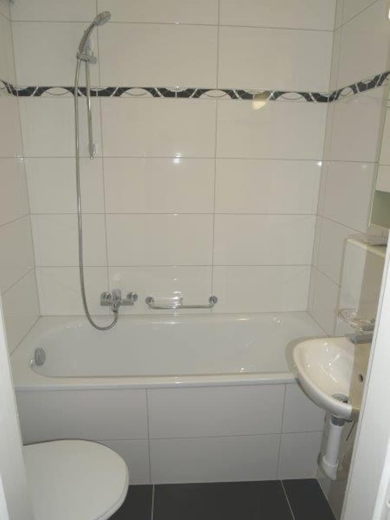 Appartement rénové de 2 pièces avec balcon (6)