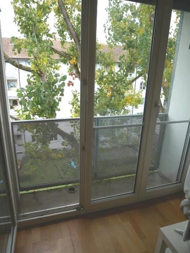 Appartement rénové de 2 pièces avec balcon (9)