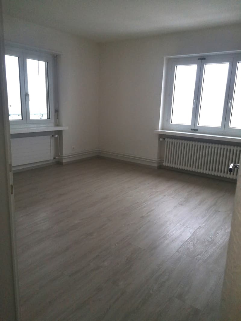 Empty room, white walls, wooden floors, 2 windows, radiators
