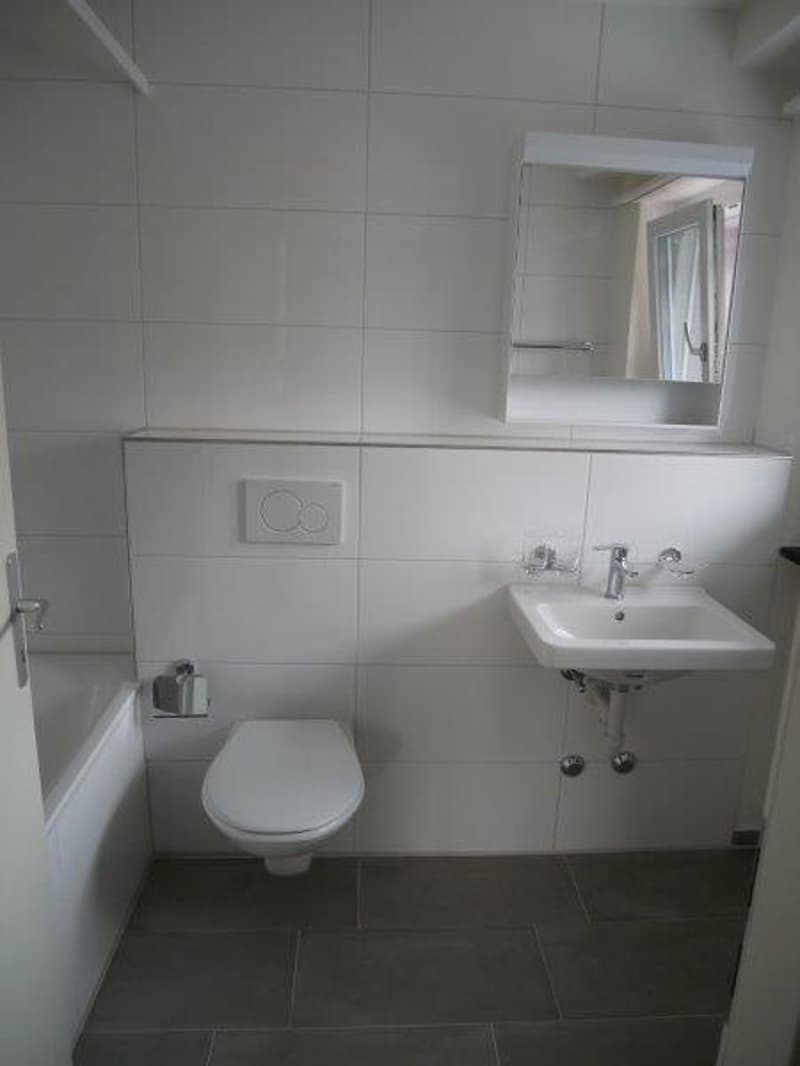Bathtub, toilet, sink, mirror