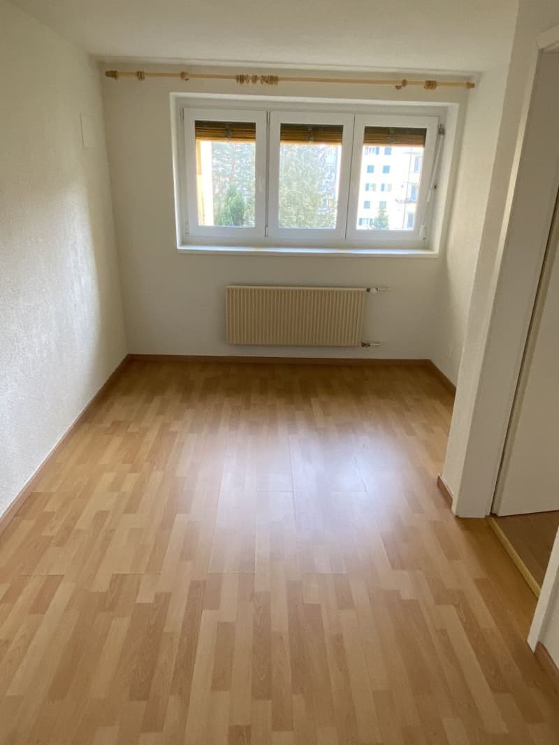 Cozy 1-bedroom apartment with beautiful views in Bettlach (2)