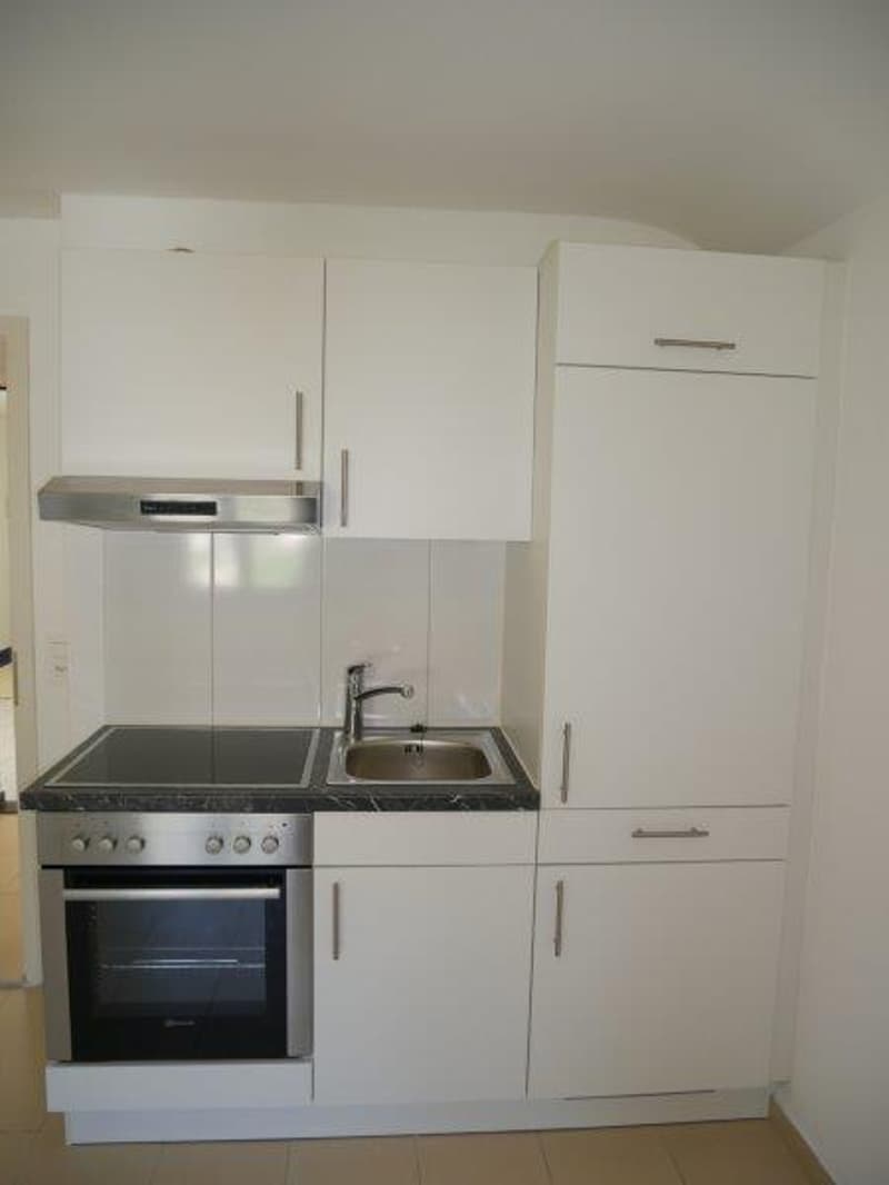 Cozy 1-bedroom apartment with beautiful views in Bettlach (1)
