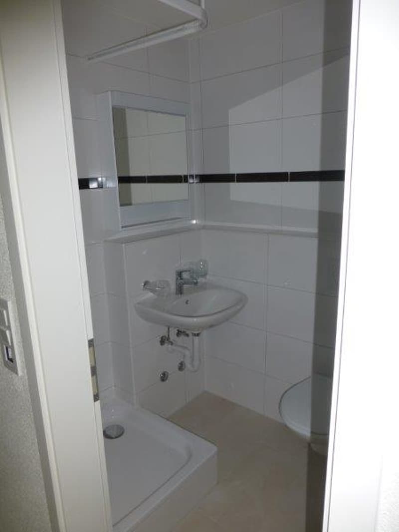 Cozy 1-bedroom apartment with beautiful views in Bettlach (3)