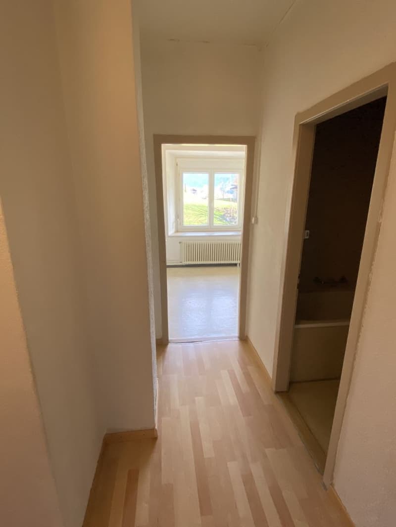Charmant appartement 3 pièces avec vue sur les montagnes à Luchsingen (4)