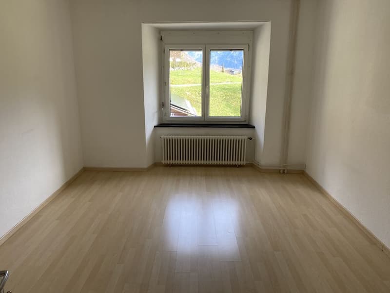 Charmant appartement 3 pièces avec vue sur les montagnes à Luchsingen (2)