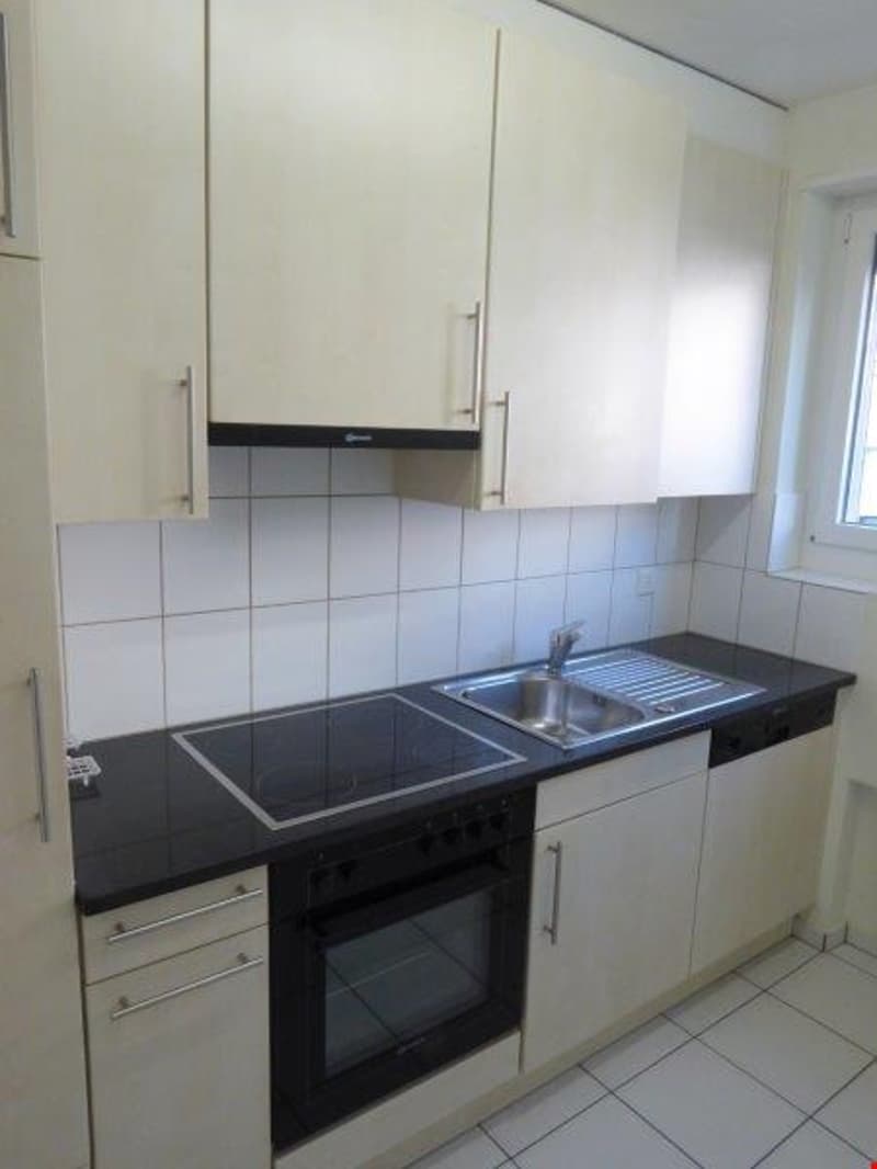 Fully furnished kitchen, modern cabinetry, electric oven, induction cooktop, integrated dishwasher, sink, tile flooring