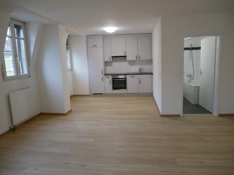 Appartement rénové de 1 pièce à louer dans un emplacement très central (4)