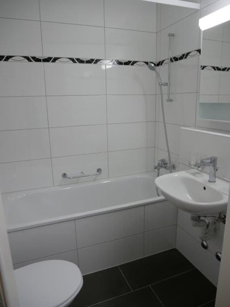 Appartement rénové de 1 pièce à louer dans un emplacement très central (10)