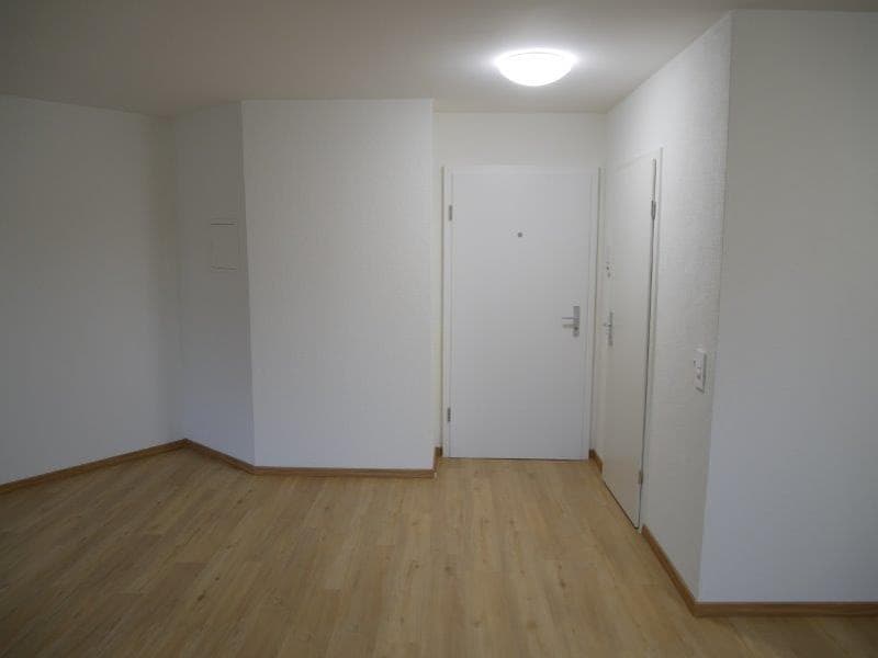 Appartement rénové de 1 pièce à louer dans un emplacement très central (7)