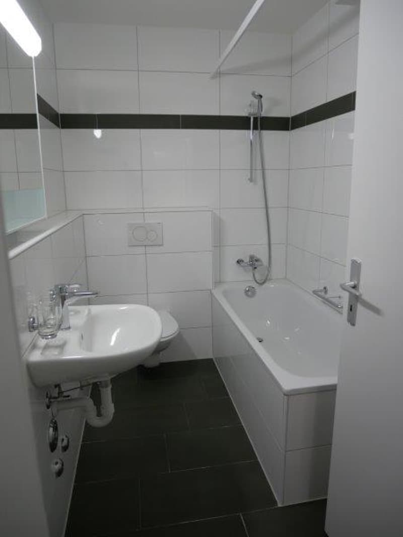Schöne 1-Zimmer-Wohnung an sehr zentrale Lage zu vermieten (8)