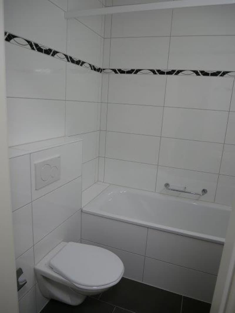 Appartement rénové de 1 pièce à louer dans un emplacement très central (9)
