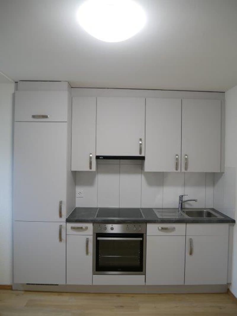 Schöne 1-Zimmer-Wohnung an sehr zentrale Lage zu vermieten (3)