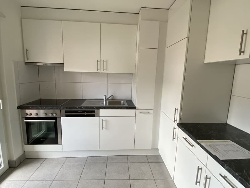 Appartamento di 4,5 locali bellissimo in affitto (3)