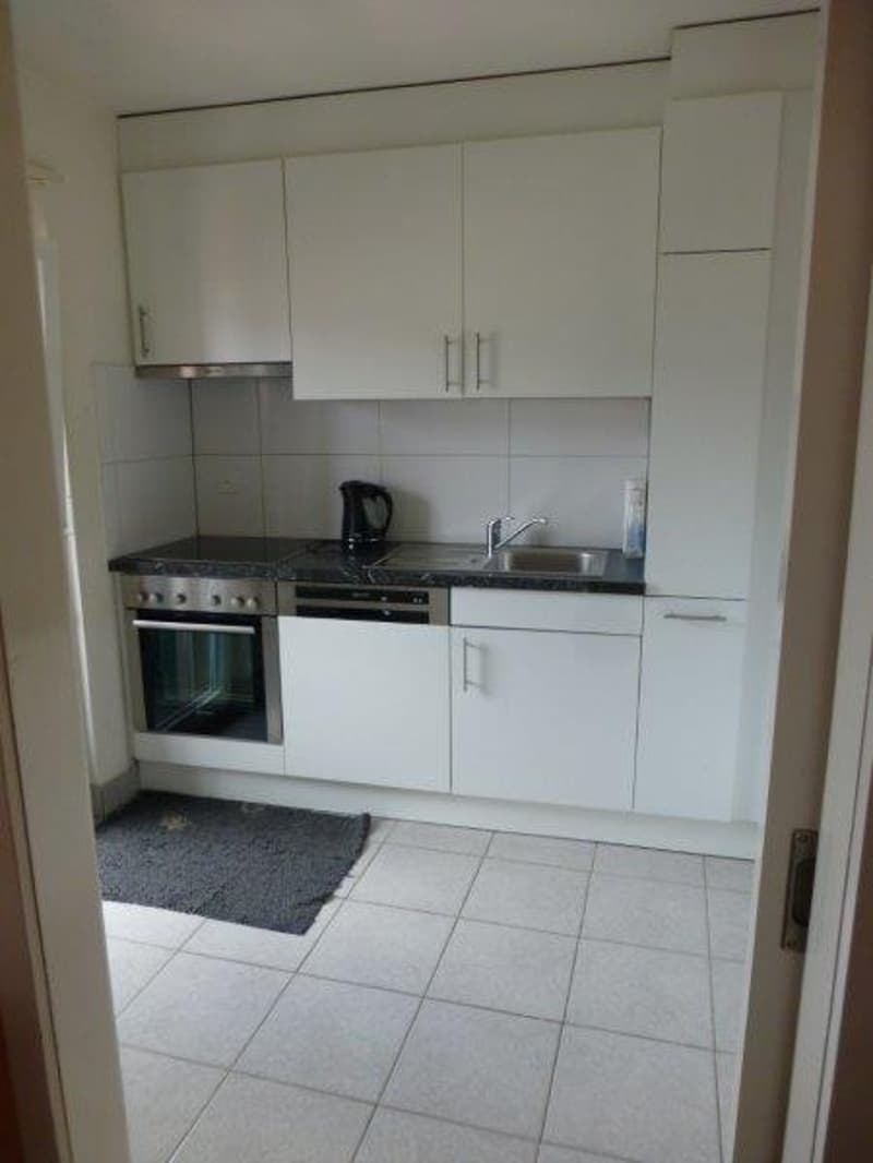 Beautiful 4.5-room apartment for rent (2)