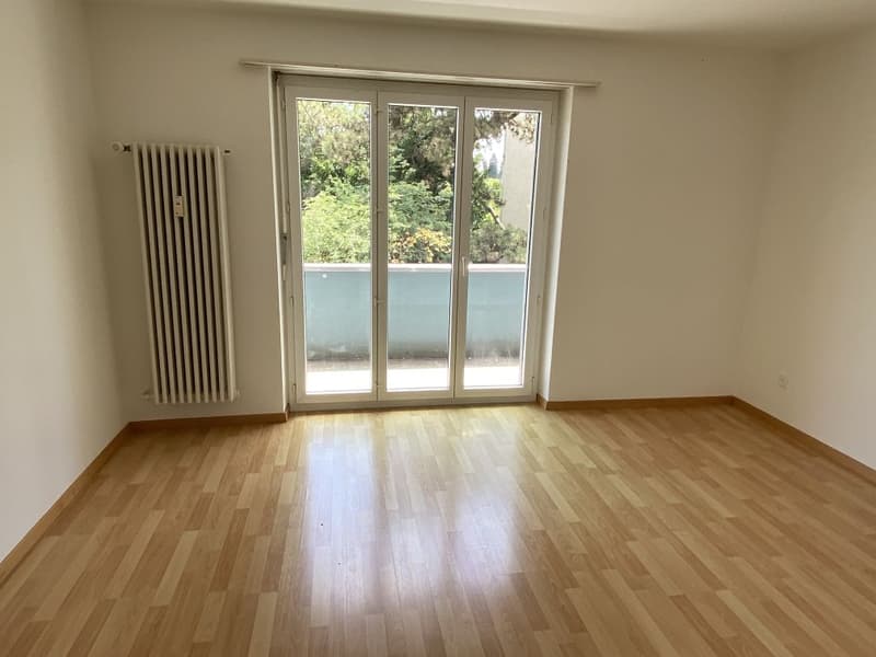 Appartamento di 4,5 locali bellissimo in affitto (7)