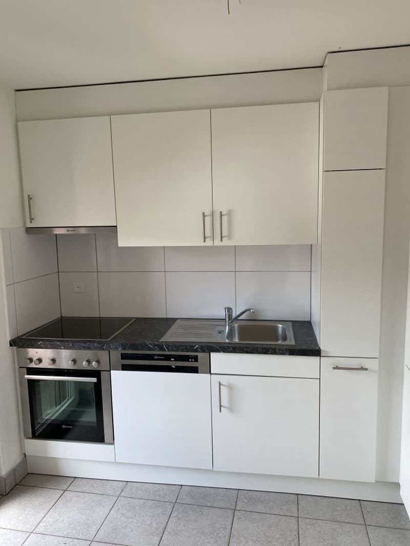 Appartamento di 4,5 locali bellissimo in affitto (2)