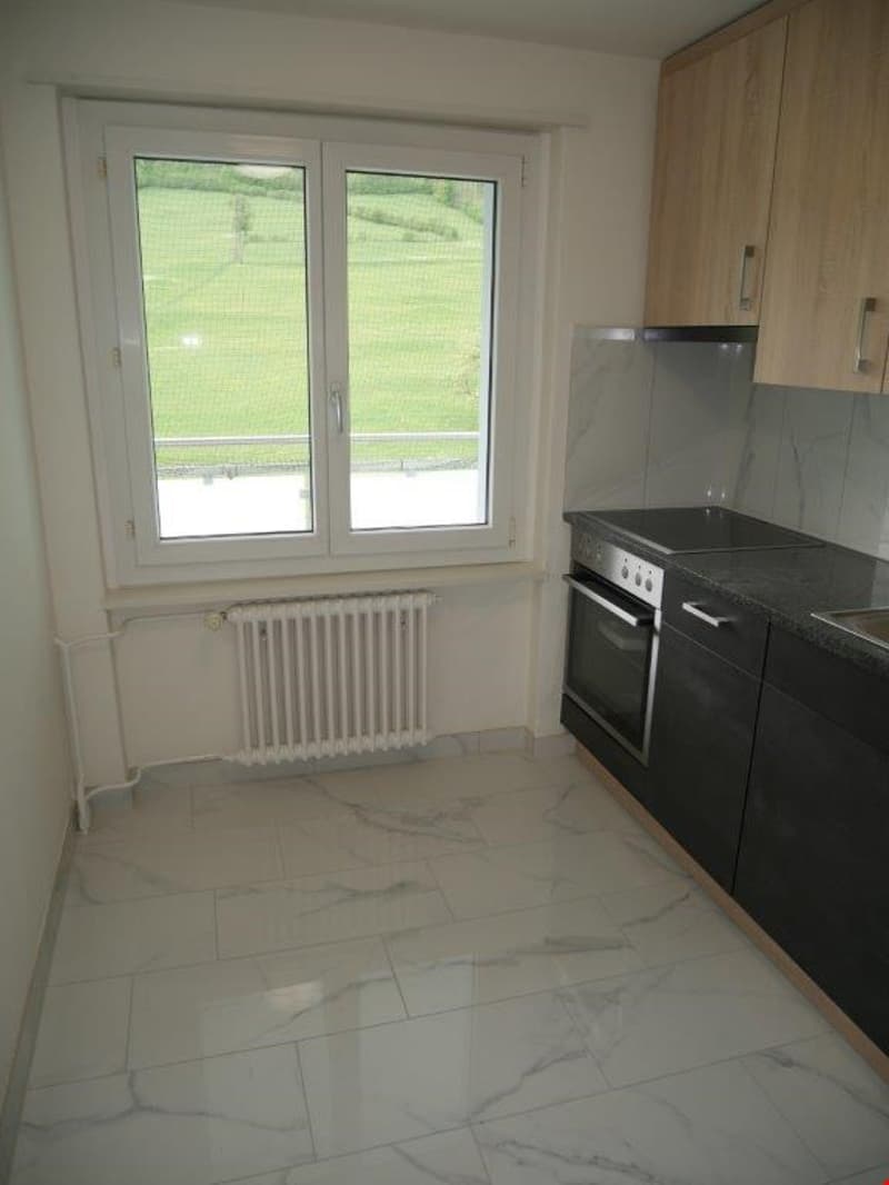 Moderne 3.5-Zimmer-Wohnung mit Bergblick in Glarus (2)