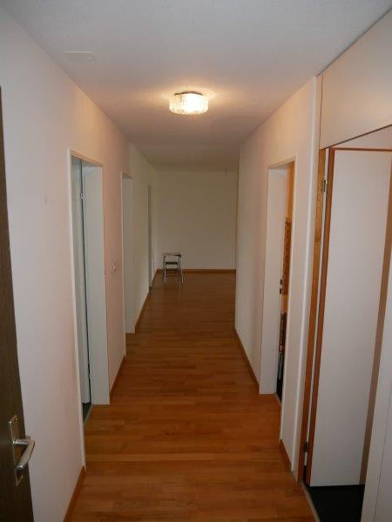 Empty hallway, wooden floor, white walls, white ceiling, a lamp hanging from the ceiling