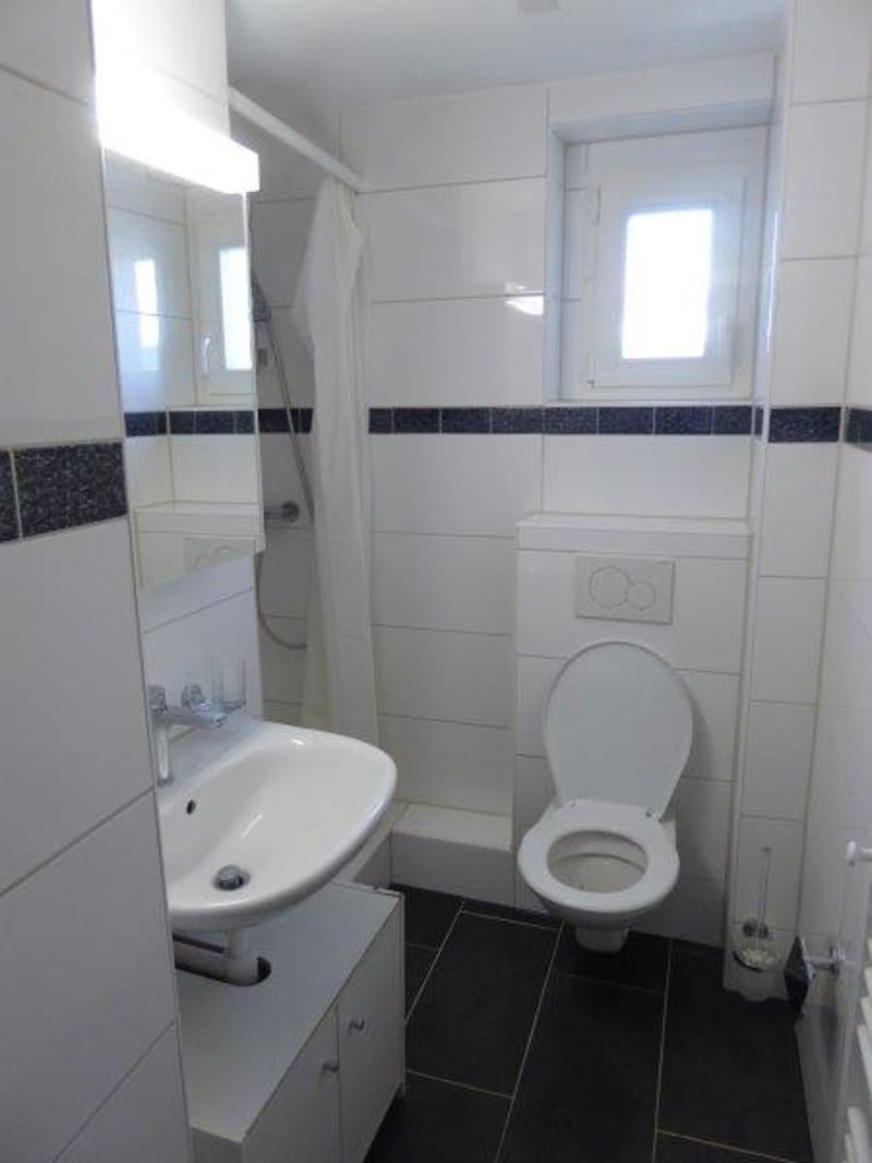 white tiled bathroom with sink, shower area, toilet, mirror