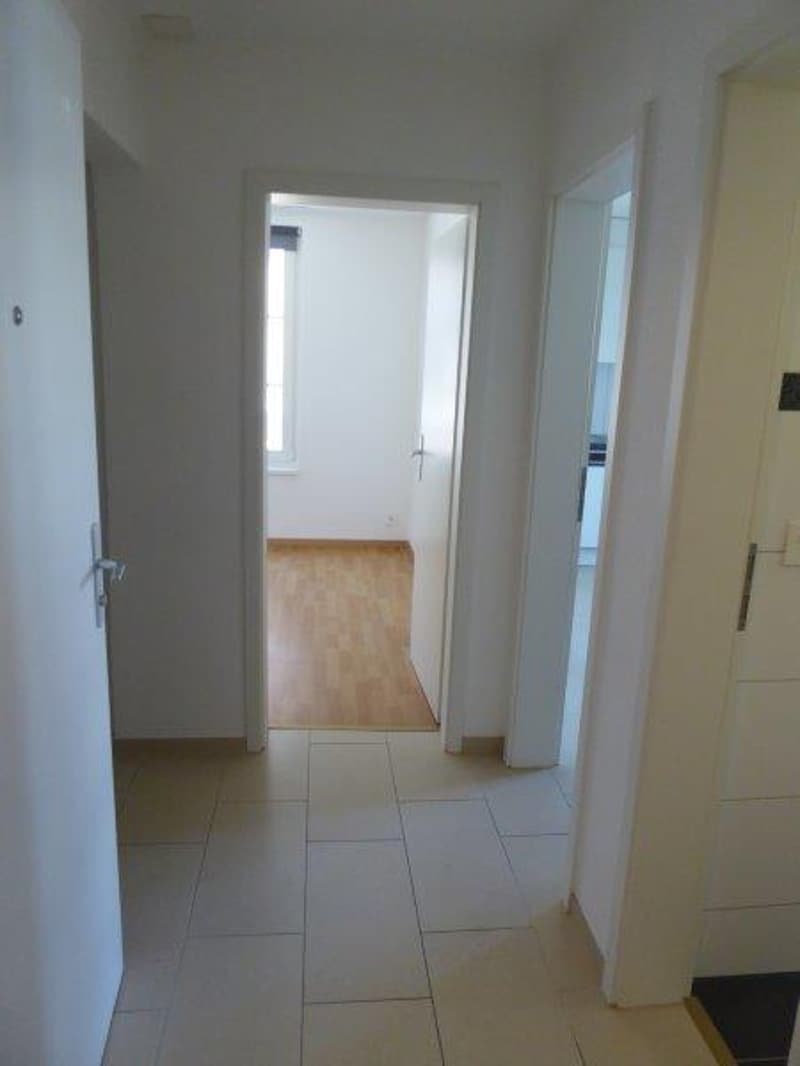 Empty hallway, white tiles, wooden floor in one room, white doors