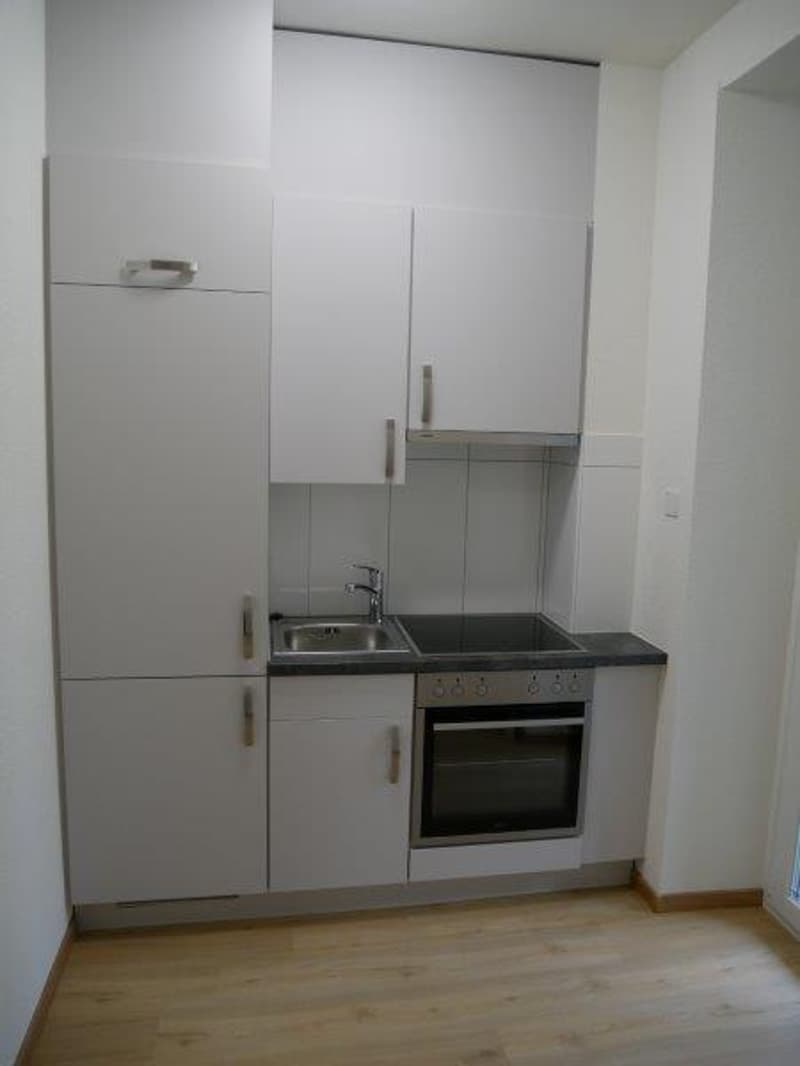 Appartement moderne 1 pièce très charmant avec balcon (2)