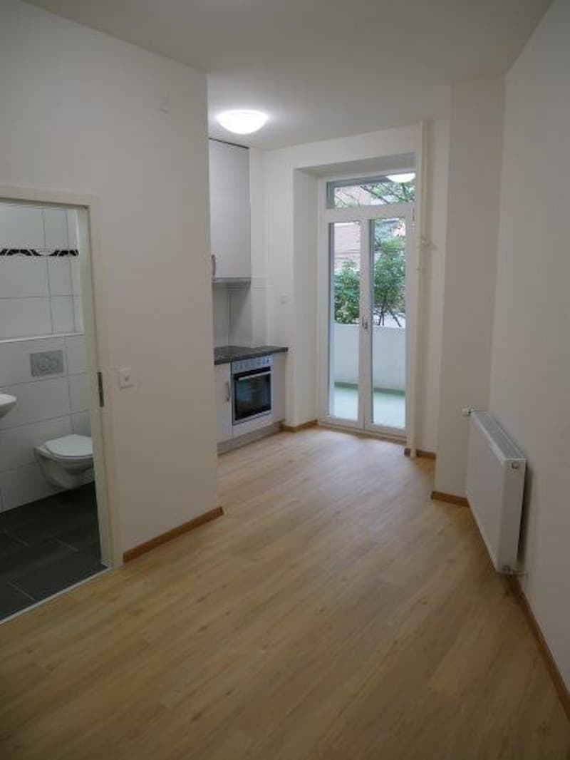 Appartement moderne 1 pièce très charmant avec balcon (5)