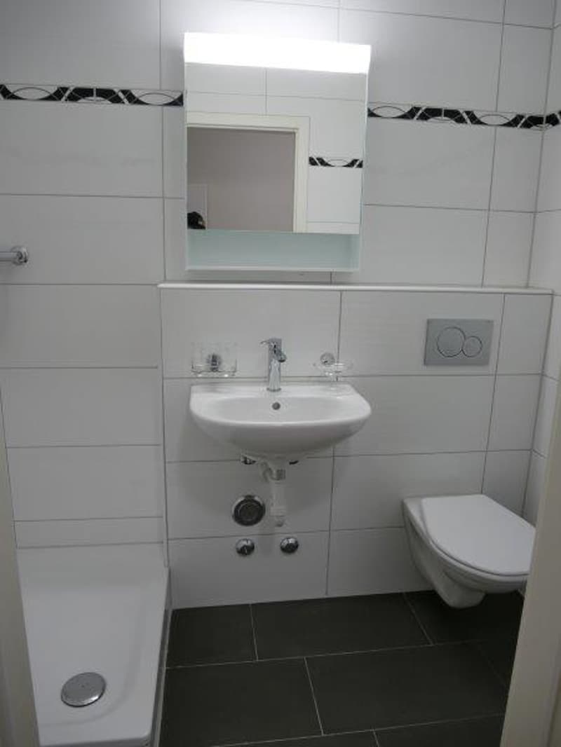 Appartement moderne 1 pièce très charmant avec balcon (7)